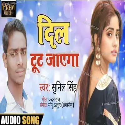 Dil Toot Jayega - Sunil Singh album cover 