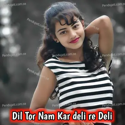 Dil Tor Nam Kar Deli Re Deli - Santosh Kumar album cover 