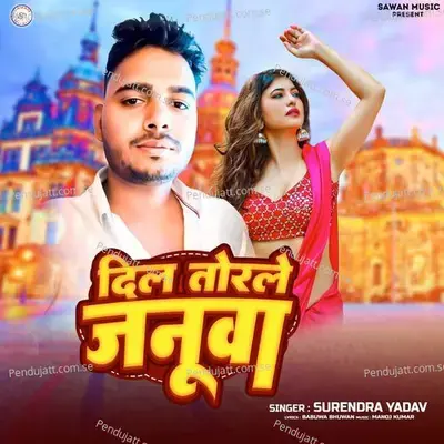 Dil Torle Januwa - Surendra Yadav album cover 