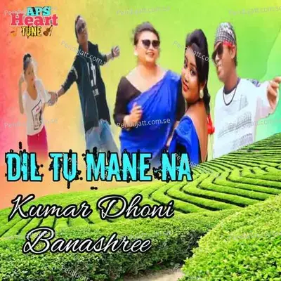 Dil Tu Mane Na - Kumar Dhoni album cover 