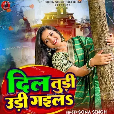 Dil Tudi Udi Gaila - Sona Singh