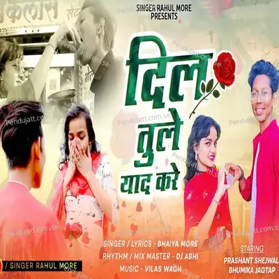 Dil Tule Yad Kare - Bhaiya More album cover