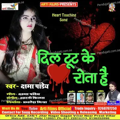Dil Tut Ke Rota Hai (Hindi Sad Song) - Kshama Pandey