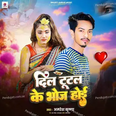 Dil Tutla Ke Bhoj Hoi - Amresh Krishna album cover 