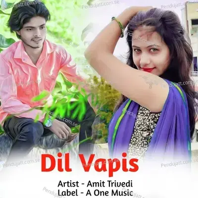 Dil Vapis - Amit Trivedi album cover 