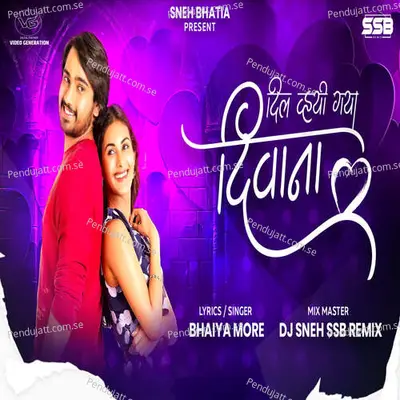 Dil Vhyi Gaya Diwana - Bhaiya More album cover 