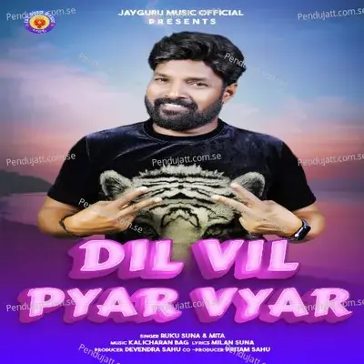 Dil Vil Pyar Vyar - Ruku Suna album cover 