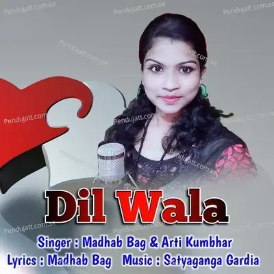 Dil Wala - Madhab Bag album cover 