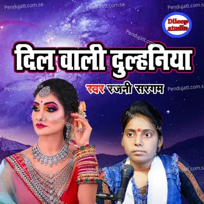 Dil Wali Dulhaniya - Rajani Sargam album cover 