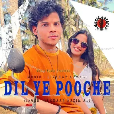 Dil Ye Pooche - Harmaan Nazim Ali album cover 