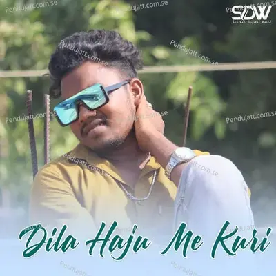 Dila Haju Me Kuri - Dinesh Tudu album cover 