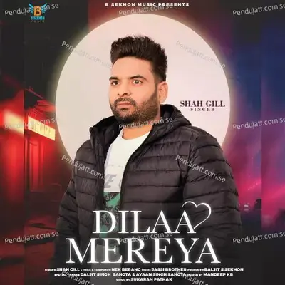 Dilaa Mereya - Shah Gill album cover 