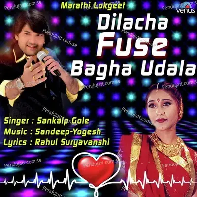 Dilacha Fuse Bagha Udala - Sankalp Gole album cover 