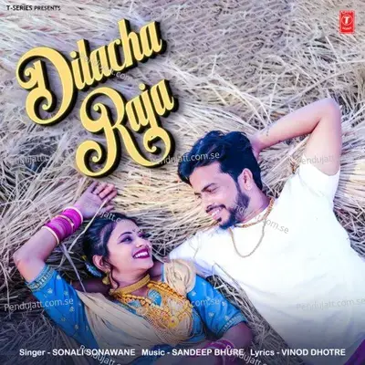 Dilacha Raja - Sonali Sonawane album cover 