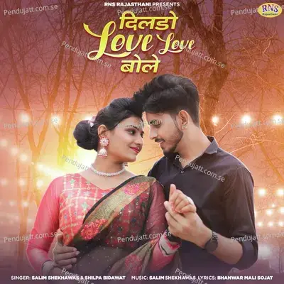 Dilado Love Love Bole - Salim Shekhawas album cover 