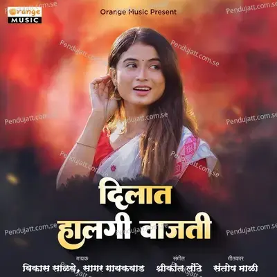 Dilat Halgi Vajati - Vikas Salve album cover 