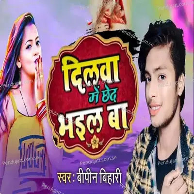 Dilawa Me Chhed Bhail Ba - Bipin Bihari album cover 