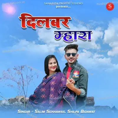 Dilbar Mhara - Salim Shekhawas album cover 