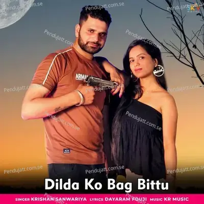 Dilda Ko Bag Bittu - Krishan Sanwariya album cover 