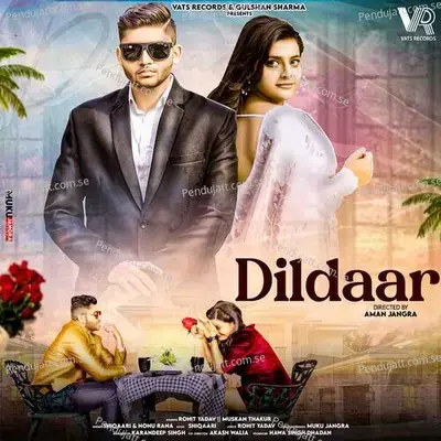 Dildaar - Shiqaari album cover 