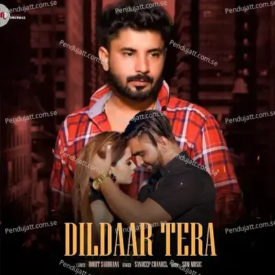 Dildaar Tera - Rohit Sardhana album cover 