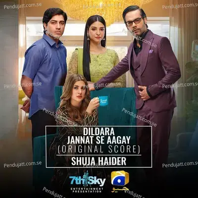 Dildara Jannat Se Aagay - Shuja Haider album cover 