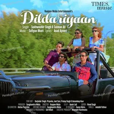 Dildariyaan - Sukhwinder Singh album cover 