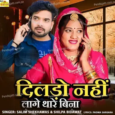 Dildo Nahi Lage Thare Bina - Salim Shekhawas album cover 