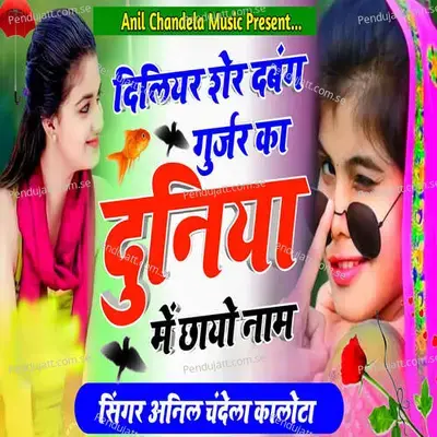Diliyar Sher Dabang Gurjar Ka Duniya Me Chago Naam - Anil Chandela album cover 