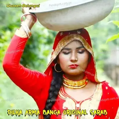 Dilka Arma Banga Original Sarab - Waseem Dehangal album cover 