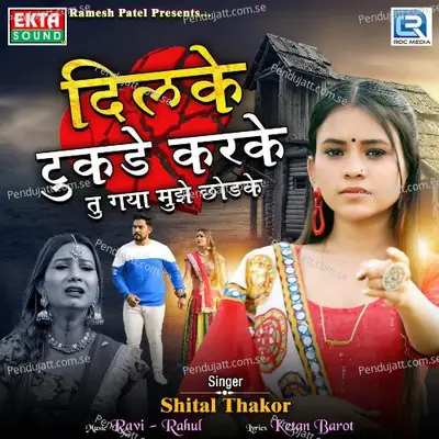 Dilke Tukde Karke Tu Gaya Mujhe Chhodke - Shital Thakor album cover 