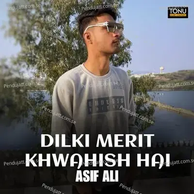 Dilki Merit Khwahish Hai - Asif Ali album cover 