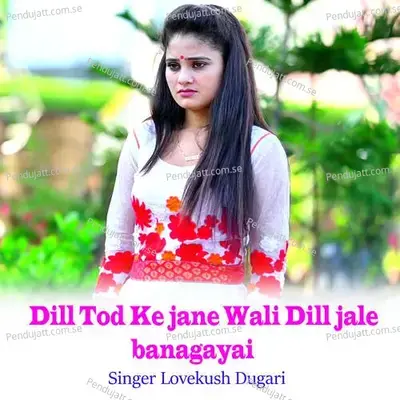 Dill Tod Ke Jane Wali Dill Jale Banagayai - Lovekush Dungri
