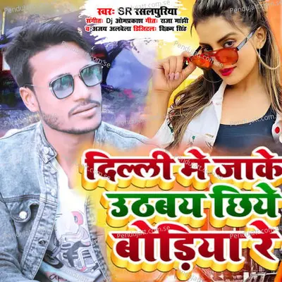 Dilli Me Jake Uthabay Chhiye Boriya Re - S.R Rasalpuriya album cover 