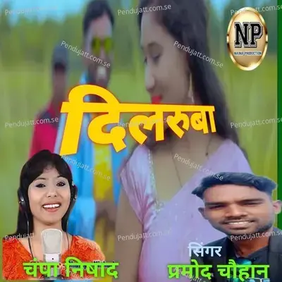 Dilruba - Pramod Chouhan album cover 