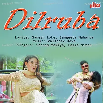 Dilruba Tu Hai Meri Dilruba - Vaishnav Deva album cover 