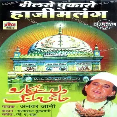 Dilse Pukaro Haji Malang - Anwar Jani cover album