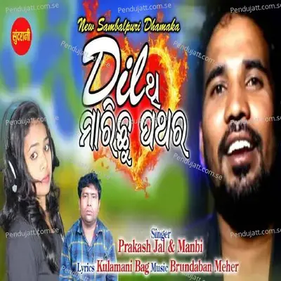 Dilthi Marichhu Patahara - Prakash Jal album cover 