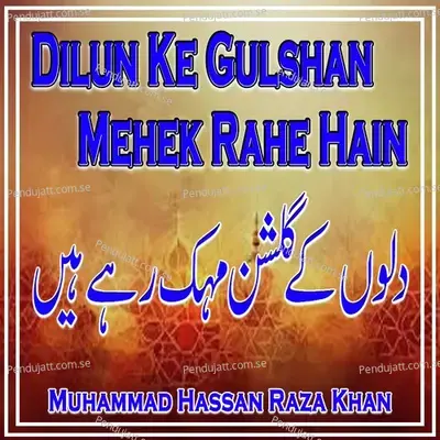 Dilun Ke Gulshan Mehek Rahe Hain - Muhammad Hassan Raza Khan album cover 
