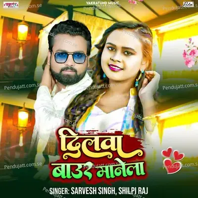 Dilwa Baur Manela - Shilpi Raj album cover 