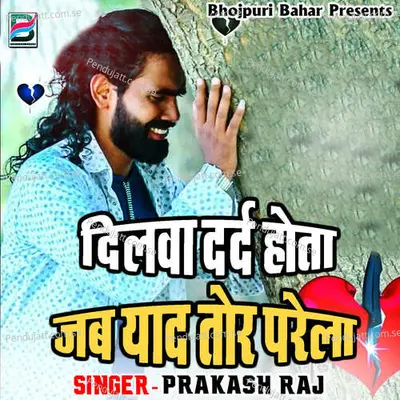 Dilwa Dard Hota Jab Yaad Tor Parela - Vaibhav Nishant cover album
