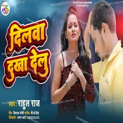 Dilwa Dukha Delu - Rahul Raj album cover 