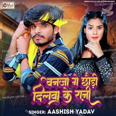 Dilwa Ke Rani - Ashish Yadav album cover 