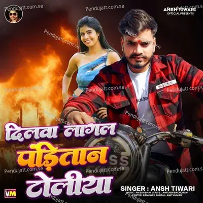 Dilwa Lagal Panditan Toliya - Ansh Tiwari album cover 