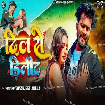 Dilwa Se Delete - Amarjeet Akela album cover 