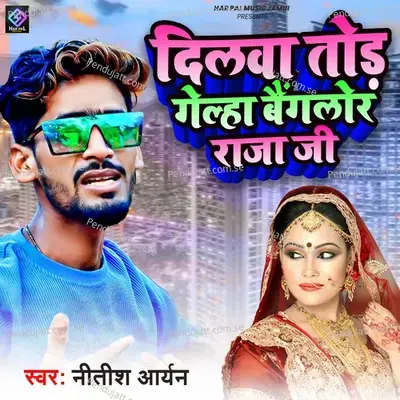 Dilwa Tod Chali Gelo Benglor Raja Ji - Nitish Aryan album cover 