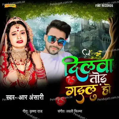 Dilwa Tod Gayilu Ho - R Ansari album cover 