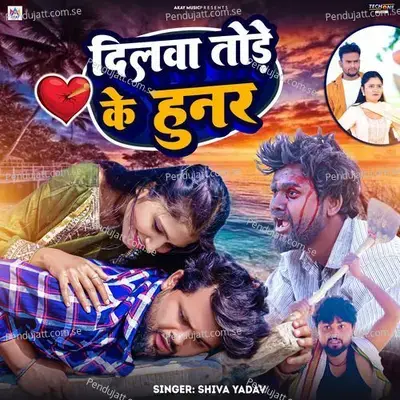 Dilwa Tode Ke Hunar - Shiva Yadav album cover 