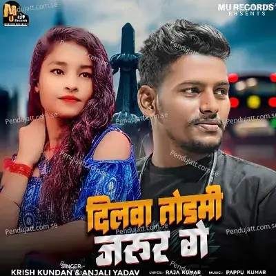 Dilwa Todmi Jarur Ge - Krish Kundan album cover 