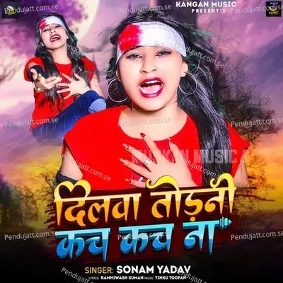 Dilwa Todni Kach Kach Na - Sonam Yadav album cover 